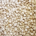 Quinoa
