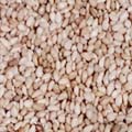 White sesame
